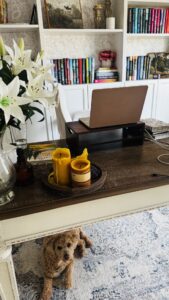 A Day in My Writing Life